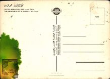 CPM Les Plages d'Alger Ain Taya 