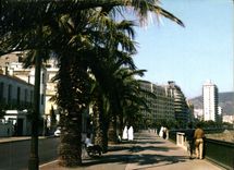 CPM Lumiere et Beaute de l'Oranie Oran Le boulevard de l'A. N. P. 