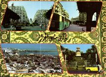 CPM Souvenir d'Alger la Blanche 