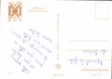 CPM Souvenir d'Alger la Blanche 