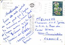 CPM Algerie Le Sud Fascinant 