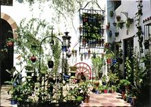 CPM Espana es diferente Tipico Patio andaluz 