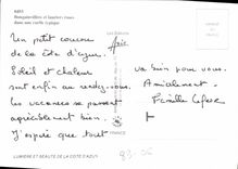 CPM Cote d'Azur Bougainvillees et lauriers roses dans une ruelle typique