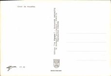 CPM Envol de mouettes 