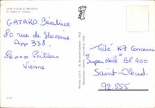 CPM Cote d'Azur et Provence Sa vegetation exotique