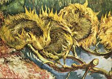 CPM Vincent Van Gogh Quatre fleurs de toumesols Otterlo Rijksmuseum Kroller Muller 