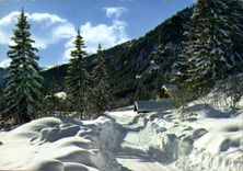 CPM Image de nos Montagnes en hiver Chemin de neige a travers les sapins 
