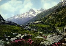 CPM L'eveil du printemps 