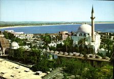 CPM Acre general view 