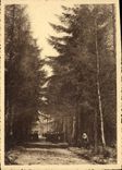 CPM Monastere N D de Bethanie Lophem les Bruges Un coin du jardin Religieuses