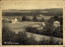CPM Wavre bois de la pierre 