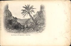 CPA Les Gorges d'El Kantara 