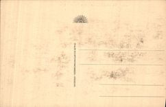 CPA Lourdes Le Chateau Fort et le Gave 