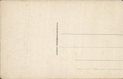 CPA Lourdes Le Chateau Fort et le Gave 