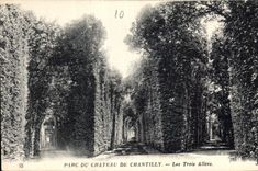 CPA Parc du Chateau de Chantilly Les Trois Allees 
