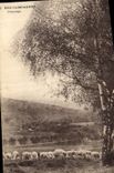 CPA Nos Campagnes Paysage 