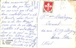 CPA Lourdes Le Chateau The Castle 