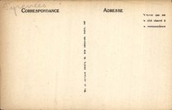 CPA Saint Sauveur Le Pont Napoleon 