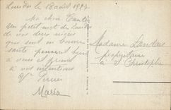 CPA Lourdes la Basilique et le Gave 