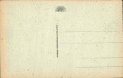 CPA Lourdes la Grotte et la Basilique 