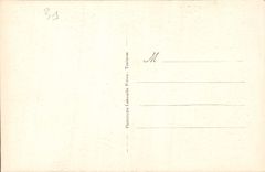 CPA Toulouse l'hotel d'Assezat 