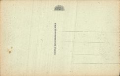 CPA Lourdes la nuit la Procession 