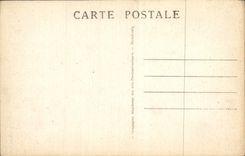 CPA Lourdes la Basilique vue prise du Chateau fort 