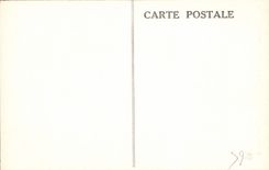 CPA Les Pyrenees Luz St Sauveur le Pont Napoleon 