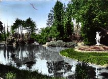 CPA Montelimar Capitale du Naugat et Porte de la Provence le Jardin Public l'Etang 