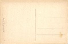 CPA Lourdes l'Esplanade le Fort vue de la Terrasse de la Basilique 