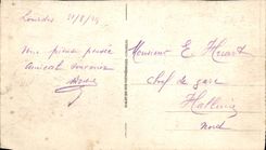 CPA Lourdes la Basilique la ville et le Pic du Jer 