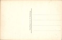 CPA Lourdes le Chateau Fort et le Gave 