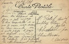 CPA Lourdes La Basilique 