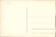 CPA Lourdes le Gave et les Piscines 