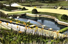 CPA Valence sur Rhone Drome le Parc Jouvet 