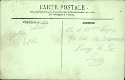 CPA Jardins de Versailles Le Bosquet des Domes 