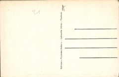 CPA Toulouse Le Pont Neuf La Garonne et la Prairie des Piltres 