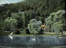 CPA Luchon Parc des quinconces et Buevette du Pre 