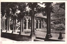 CPA Toulouse Musee Grand Cloitre des Augustins 