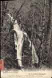 CPA Gorges de la Dordognes Saut de Jullac pres Ligisniac 