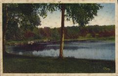 CPA Excursion en Correze La tranquillite des Etangs 