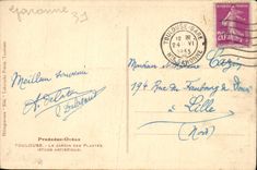 CPA Toulouse Le Jardin des Plantes Etude Artistique 