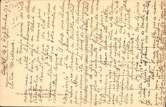 CPA Toulouse Le Jardin et Donjon du Capitol 