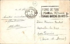 CPA Toulouse Basilique St Sernin Vue Generale Nord 