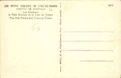 CPA Chateau de Chantilly Les Chateaux Le Petit Chateau et la Tour du Tresor 