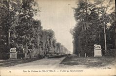 CPA Parc du Chateau de Chantilly L'Allee dl'Entrainement 