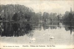 CPA Chantilly Chateau des Fontaines Vue du Parc 
