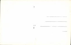 CPA Musee Royal de La Haye Rembrandt Le Leon d'anatomie 