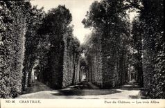 CPA Chantilly Parc du Chateau 