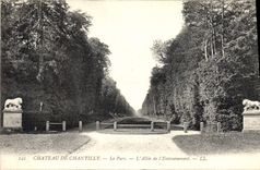 CPA Chateau de Chantilly le Parc l'Allee de l'Entrainement 